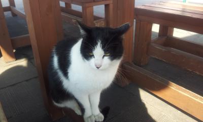 2012-03-14 09.18.23_small.jpg