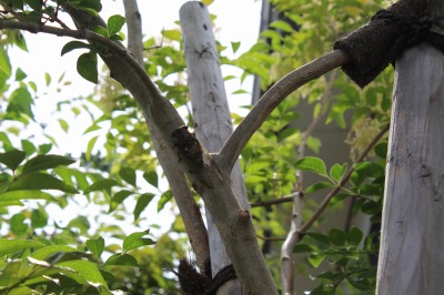 2021-07-18 10.46.28s-.jpg